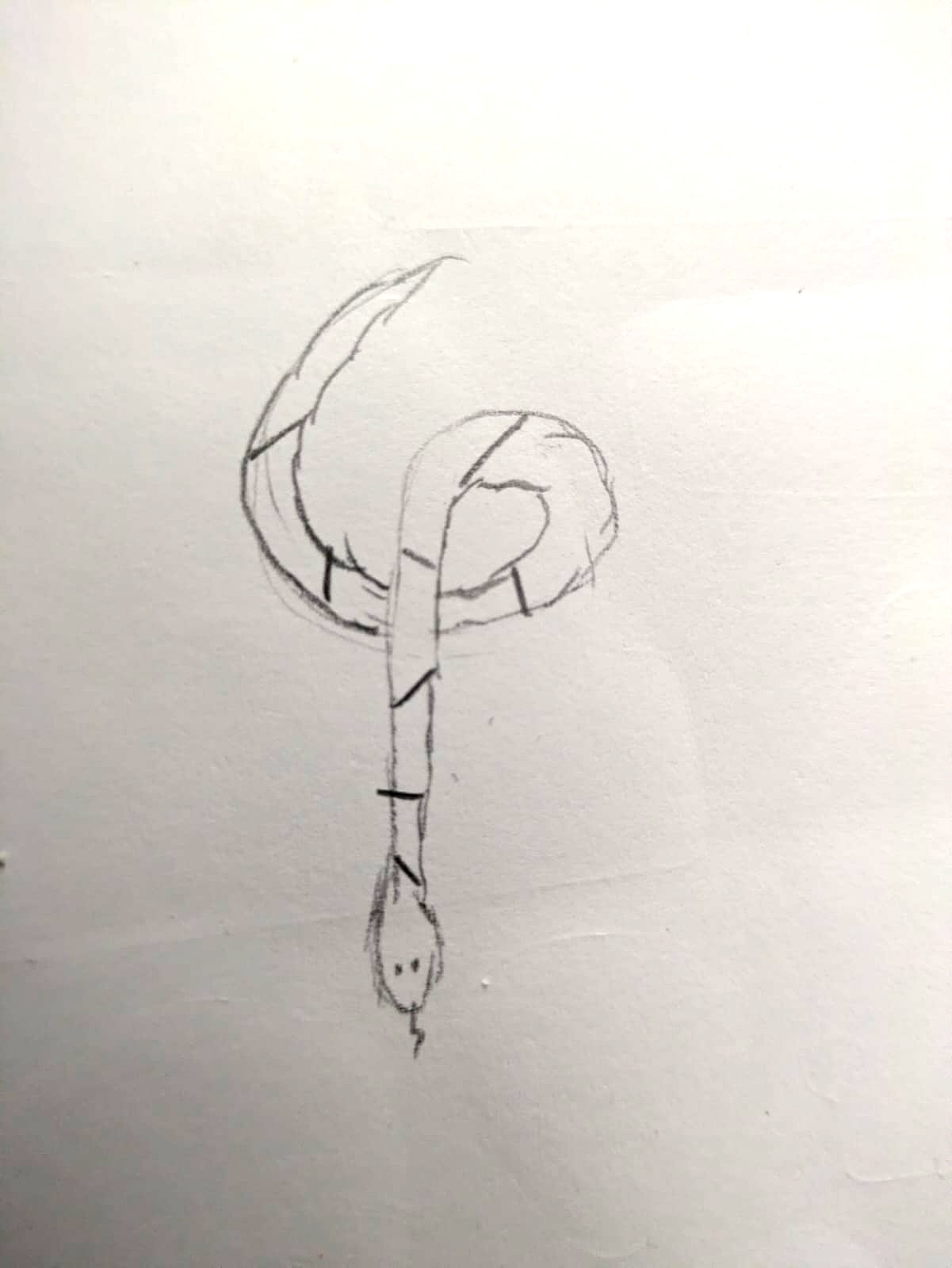 My hand-drawn sketch of a snake shaped like the Greek letter phi