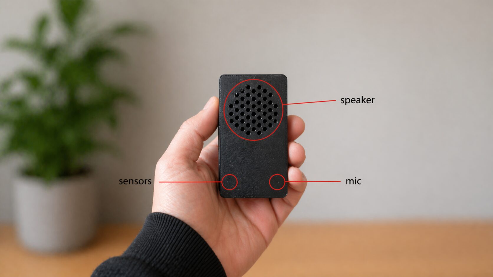 Annotated diagram of the speaker hardware